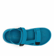 Load image into Gallery viewer, Columbia Men's Peakfreak Roam Sandals