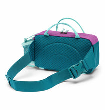 Load image into Gallery viewer, Columbia Echo Mountain Hip Pack

